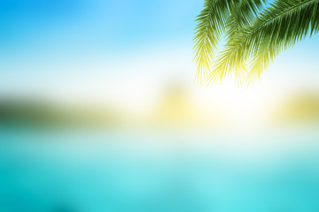 Wall Mural - world oceans day concept: palm leaves on abstract blurred beach with sunset sky background
