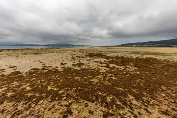 Wall Mural - low tide