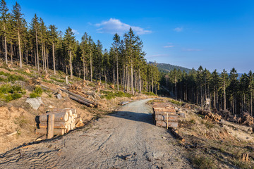 Poster - Road on a mountain slope near Jugow village in Owl Mountains Landscape Park, protected area in Lower Silesia Province of Poland