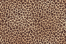 Leopard Spotted Beige Brown Fur Texture. Vector