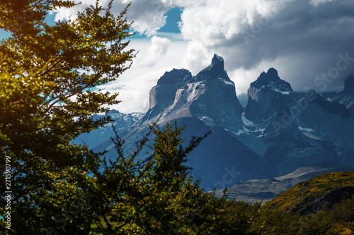 Plakaty Kordyliery  park-narodowy-torres-del-paine-z-osniezonymi-gorami-cordillera-paine-i-zielonymi-drzewami-na-pierwszym-planie-chile