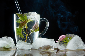 Cup of medicinal nettle tea with nettle and ice leaves on black background and smoke