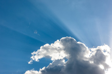 Wall Mural - Clouds flowing quietly in the morning of Japan