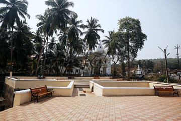 Wall Mural - Palms on the shore of water