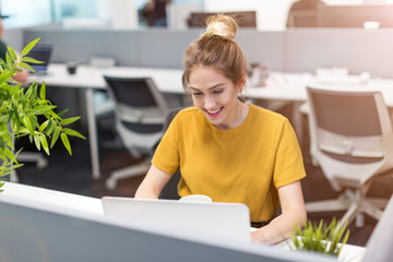 Wall Mural - Young business woman working on laptop in office