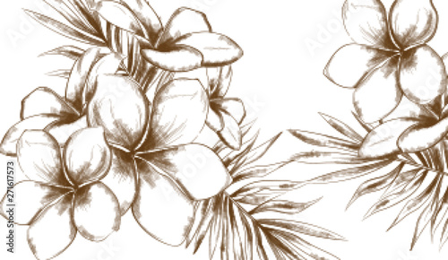 Tropic flowers summer background Vector line art. Vintage styles