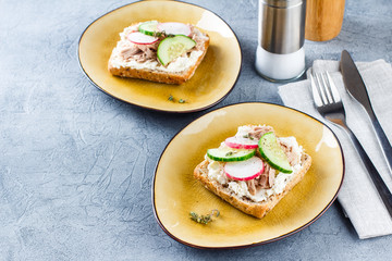 Wall Mural - Delicious tuna sandwich, served with radish and cucumber