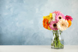 Bouquet of beautiful bright gerbera flowers in glass vase on table against color background. Space for text