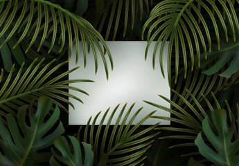 Wall Mural - branch palm realistic