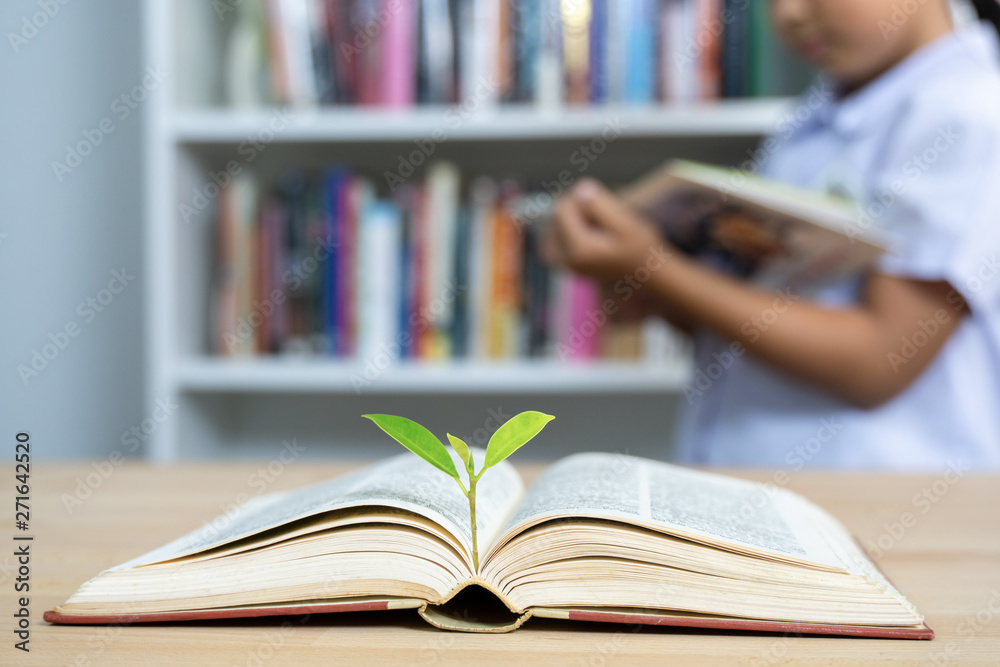 education concept with tree of knowledge planting on opening old big ...