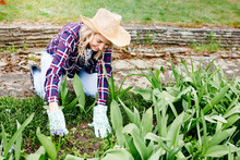 Young Woman With A Straw Hat Weeding Weeds