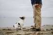 © Angel Santamaria/ADDICTIVE STOCK - French Bulldog looking at unrecognizable male standing on sandy shore near calm sea