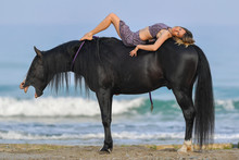 Portrait Of A Beautiful Blond Girl Lies On The Back Of Her Black Horse On The Rishpon Beach, Israel