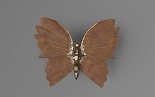 Steampunk Butterfly Copper ,3d ,render.