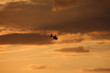Rettungshelikopter bei Sonnenuntergang im Einsatz