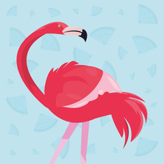 Canvas Print - pink flamingo bird exotic vector illustratio