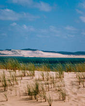 View Of The Great Dune Of Pilat From The Cap Ferret With A Grassy Dune In The Foreground