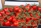 Fototapeta Dmuchawce - fresh red tomatoes in a box