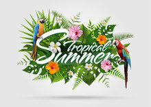 Trendy Summer Tropical Design24