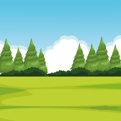 Wall Mural - forest landscape with pine vector illustration