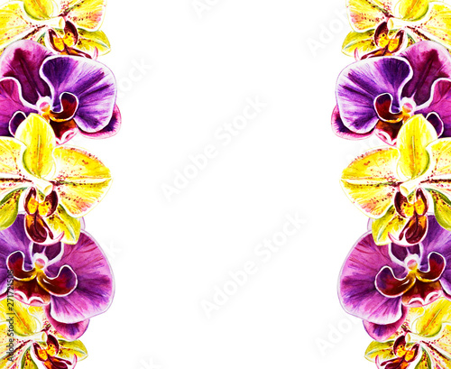 Beautiful frame from orchid flowers. Watercolor painting. Exotic plant. Flora...