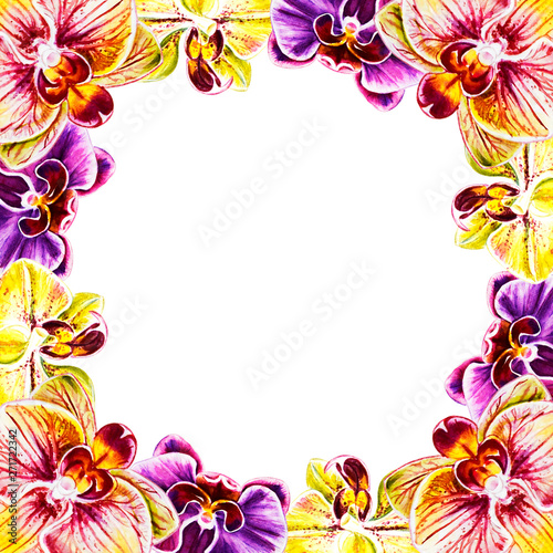 Beautiful frame from orchid flowers. Watercolor painting. Exotic plant. Flora...