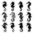 Seahorse Silhouette Collection