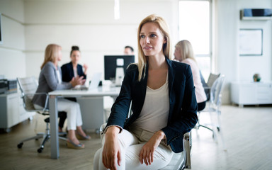 Portrait of a group of business people working together