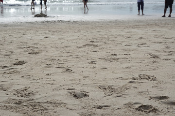 crumbled wall on the beach