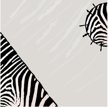 Abstract zebra vector background