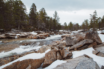 Wall Mural - landscape of the mountain river and the waterfall flowing between the snow-covered rocks and the for
