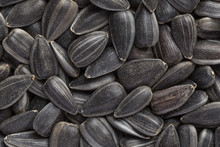 Close Up Of Sunflower Seeds Background