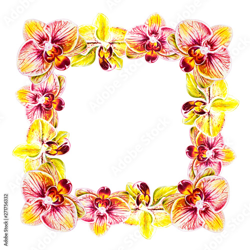 Beautiful frame from orchid flowers. Watercolor painting. Exotic plant. Flora...