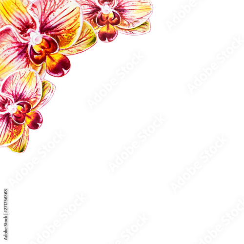 Beautiful frame from orchid flowers. Watercolor painting. Exotic plant. Flora...