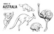 Australian animals. Set of outlines. Hand drawn illustration converted to vector