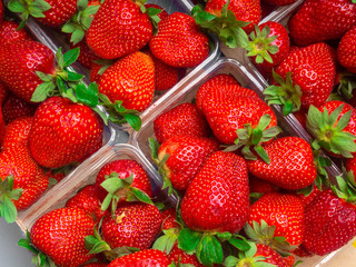 Wall Mural - Fresh strawberries in a plastic boxes. Background. Top view.