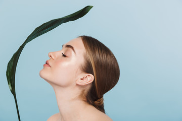 Poster - Beautiful young woman take care of her skin isolated over blue wall background posing with leaf flower.