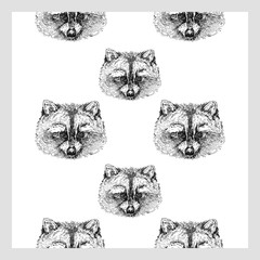 Wall Mural - Seamless pattern of hand drawn sketch style raccoon. Vector illustration isolated on white background.