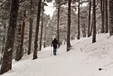 Fototapeta Miasto - Woman walking with technical snowshoes in the pine forest by the mountains. In Sierra de Guadarrama National Park, Madrid, Segovia. Spain