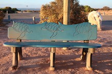 Park Bench In Western Australia