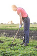 © kalinichenkod - Male farmer  with a hoe weeding in the field on sunset