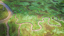 Aerial View Of Serpentine Marh