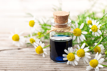 Wall Mural - Chamomilla essential oil in the glass bottle, with fresh flowers, on the old wooden board