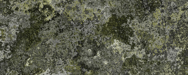 Wall Mural - 3d material green mossy walls background
