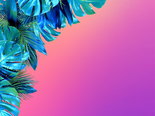 Wall Mural - Trendy turquoise colored close up of various tropical leaves on bright pink and violet background