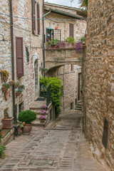 Naklejka na meble Arco con vasi di fiori nel centro storico di Spello