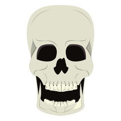 Sticker - Skull human skeleton cartoon isolated symbol