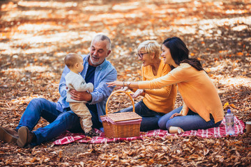 Wall Mural - Multl generation family in autumn park having fun