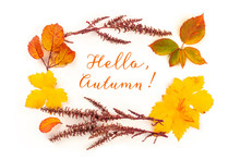 Hello, Autumn Greeting Card Or Invitation Design With Vibrant Fall Leaves And Branches On A White Background