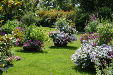 Flowers in a park, on a sunny day